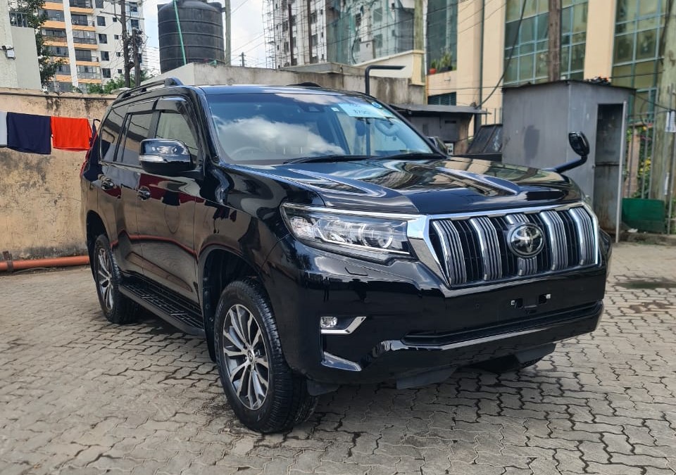 Toyota Prado back view