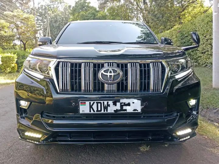 Toyota Prado back view