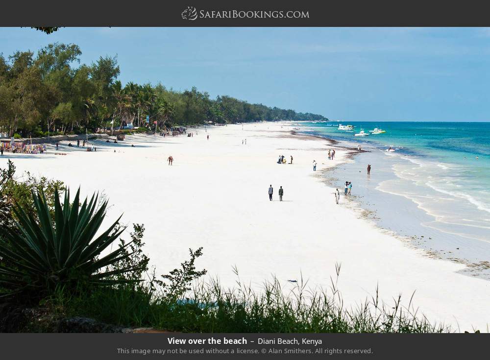 9-Day Bush and Beach Safari Offered By: Wecam Safaris