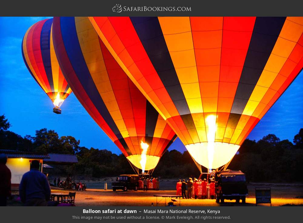 6-Day Mara-Nakuru-Amboseli Budget Safari 4x4 Landcruiser Offered By: Pavillion Safaris and Tours